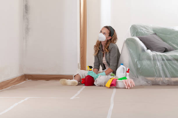 Reliable Mold Cleanup contractor in Edison, NJ by WQB Mold Removal